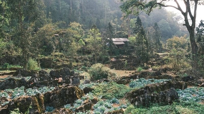 La misteriosa belleza de Sao Ha, un pueblo H'Mong escondido en el bosque de Ha Giang