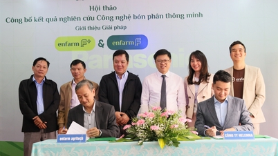 Anunciando resultados de pesquisas sobre tecnologia de fertilização inteligente