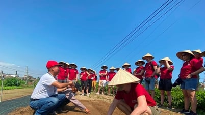 ខ្លឹមសារសំខាន់ៗជាច្រើននៅក្នុងសន្និសីទអន្តរជាតិលើកដំបូងស្តីពីទេសចរណ៍ជនបទ