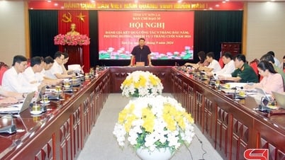 Ban Chỉ đạo 35 tỉnh triển khai nhiệm vụ công tác quý IV/2024