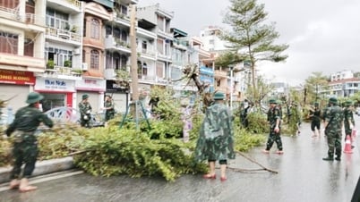 Màu áo xanh trên tuyến đầu