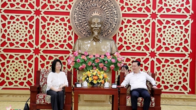 İl Halk Komitesi Başkanı, ABD'li iş adamlarından oluşan bir heyeti kabul etti ve onlarla birlikte çalıştı