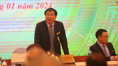 Thu trên 344 tỷ đồng tiền bản quyền tác giả âm nhạc năm 2023