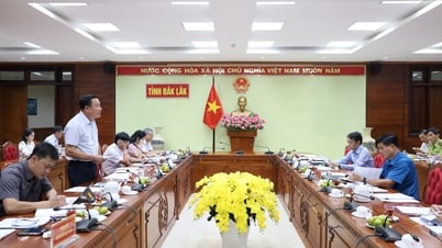 Giám sát công tác chuyển mục đích sử dụng rừng cho Dự án cao tốc Khánh Hòa – Buôn Ma Thuột giai đoạn 1