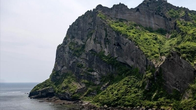 Mở cửa vườn nguyên sinh 9.000 năm tuổi tại Jeju trong 4 ngày
