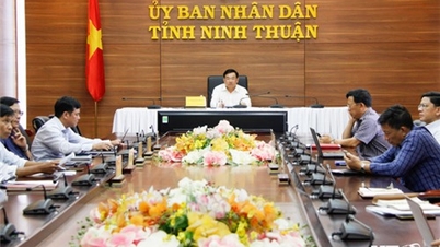 Hội nghị triển khai công tác sắp xếp, đổi mới, nâng cao hiệu quả hoạt động của các Công ty nông, lâm nghiệp