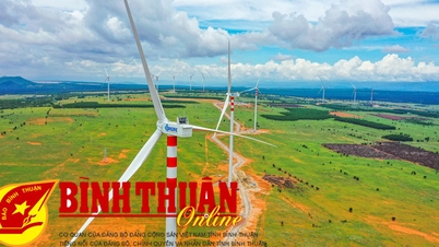 Focus on developing economic pillars of Binh Thuan