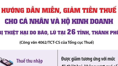Hướng dẫn miễn, giảm thuế cho cá nhân, hộ kinh doanh và doanh nghiệp thiệt hại do bão lũ