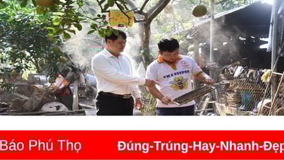 ជោគជ័យពីការចិញ្ចឹមឃ្មុំ
