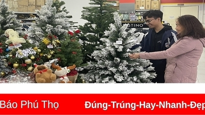Sắc màu thị trường đồ trang trí Giáng sinh