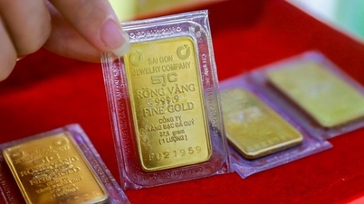 Immediately carry out specialized inspection and examination of the gold market.