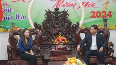 Đồng chí Trần Quốc Nam, Phó Bí thư Tỉnh ủy, Chủ tịch UBND tỉnh làm việc với Công ty TNHH Diageo Việt Nam