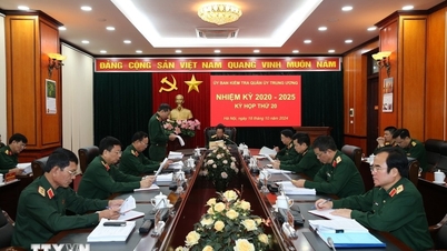 中央軍事委員会の検査委員会は、違反行為をした兵士12人を懲戒処分することを検討している。
