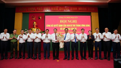 សមមិត្ត Nguyen Huy Dung ជាអនុលេខាគណៈកម្មាធិការបក្សខេត្ត ប្រធានគណៈកម្មាធិការប្រជាជនខេត្ត Thai Nguyen។