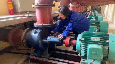 Cam Giang hat die Reparatur von 15 Pumpen abgeschlossen