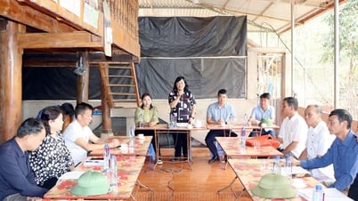 Monitoring land allocation, forest allocation, and payment for forest environmental services in Tuan Giao district