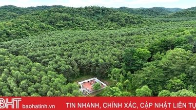 ទស្សនា​ទីសក្ការៈ​បូជា​យុវជន​ស្ម័គ្រ​ចិត្ត​ស្ត្រី​៦​នាក់​នៅ​កណ្តាល​ព្រៃ​ហួង​ខេ