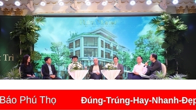 Southwest Viet Tri Urban Area Project