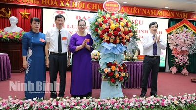 មហាសន្និបាតលើកទី៧ របស់គណៈប្រតិភូសមាគមមេធាវីទីក្រុង Ninh Binh