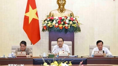 Bảo đảm đồng bộ trong điều chỉnh Quy hoạch sử dụng đất quốc gia