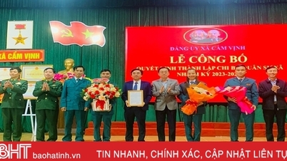 Ha Tinh មានសង្កាត់ និងឃុំចំនួន ១៦៧ ដែលបង្កើតកោសិកាបក្សយោធា។