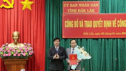 UBND tỉnh trao các quyết định về công tác cán bộ