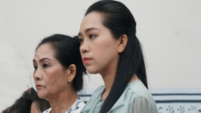 ប្អូនស្រីរបស់វិចិត្រករ Meritorious Vu Linh បានប្តឹងឧទ្ធរណ៍ក្នុងសំណុំរឿងជម្លោះទ្រព្យសម្បត្តិ។