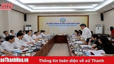 យល់ព្រមដាក់ជូននាយករដ្ឋមន្ត្រីដើម្បីទទួលស្គាល់ស្រុក Yen Dinh ថាបានបំពេញតាមស្តង់ដារ NTM កម្រិតខ្ពស់នៅឆ្នាំ 2024