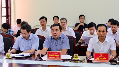 Ninh Giang cần tập trung xử lý 9 cây cầu vi phạm ở xã Hưng Long theo đúng pháp luật