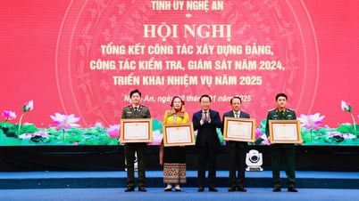 Нге Ан подводит итоги партийного строительства и ставит задачи на 2025 год