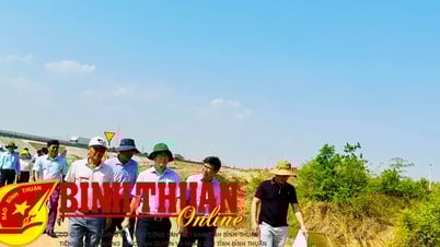 Provincial People's Committee leaders inspect some irrigation projects in the North of the province