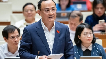 National Assembly delegates of Hai Duong province question banking and healthcare issues