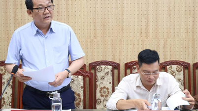선진 농업 기술로 Gia Loc 516 쌀 품종은 높은 경제적 효율성을 제공합니다.