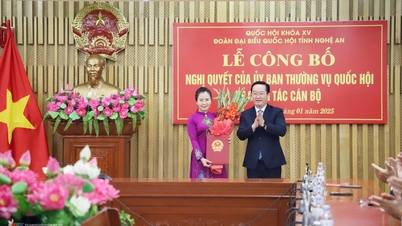 Comrade Vo Thi Minh Sinh is Head of the National Assembly Delegation of the 15th term of Nghe An province.