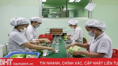 Ha Tinh businesses accelerate the end of the year
