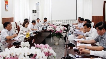 The Provincial People's Committee listened to a report on the implementation of adjustments and supplements to the price list of land types for the period 2020-2024.