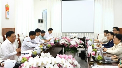 Lãnh đạo UBND tỉnh tiếp và làm việc với Đoàn công tác của Văn phòng KOICA Việt Nam