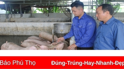 Văn Miếu phát triển mô hình kinh tế giảm nghèo bền vững