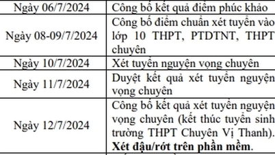 Announcement schedule of 10th grade benchmark scores for the 2024-2024 school year in Hau Giang