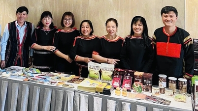 Đắk Lắk hợp tác phát triển du lịch với Hải Phòng