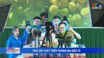 ជំរុញការអភិវឌ្ឍន៍ពាណិជ្ជកម្មអេឡិចត្រូនិក