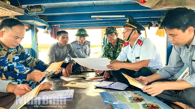 Ninh Binh determined to fight against illegal fishing