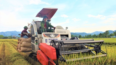 Cánh đồng Mường Thanh ấp ôm những thăng trầm lịch sử
