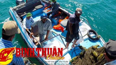 Binh Thuan implements the National Program to protect and develop aquatic resources to 2030