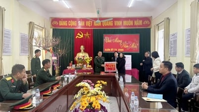 អនុប្រធានអចិន្ត្រៃយ៍ក្រុមប្រឹក្សាប្រជាជនខេត្ត បានទៅសួរសុខទុក្ខ និងជូនពរឆ្នាំថ្មី នៅស្រុក Binh Lieu