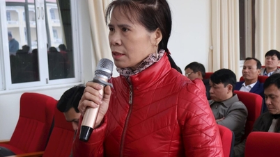 Kim Thanh farmers petition for early support for damage caused by storm No. 3