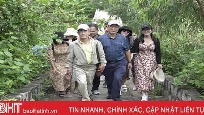 Ha Tinh ទស្សនា និងស្វែងយល់ពីគំរូទេសចរណ៍នៅ Phu Yen និង Binh Dinh