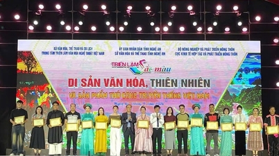 Quang Nam ឈ្នះរង្វាន់ខ្ពស់នៅមហោស្រពសិល្បៈប្រពៃណីជាតិ