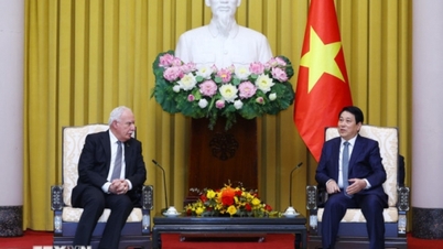 Việt Nam ủng hộ sự nghiệp đấu tranh chính nghĩa của nhân dân Palestine