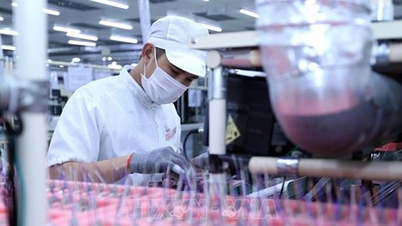 Rộng cửa đón làn sóng đầu tư vào ngành công nghiệp bán dẫn